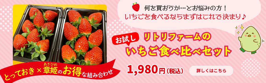 リトリファームのお試しいちご食べ比べセット 送料無料