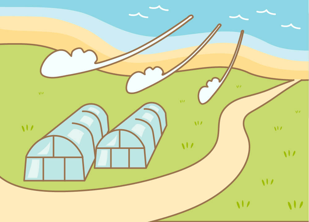 潮風が吹き付ける苺ハウス