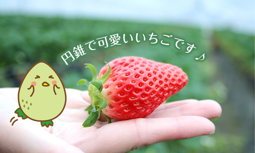 円錐で可愛いいちごです♪