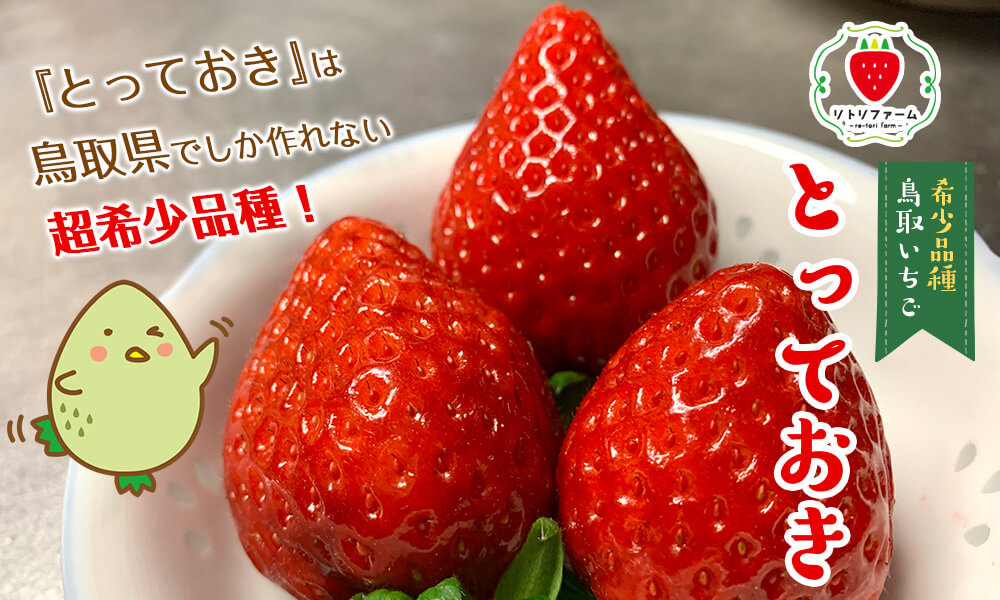 とっておき』は鳥取県でしか作れない超希少品種！
