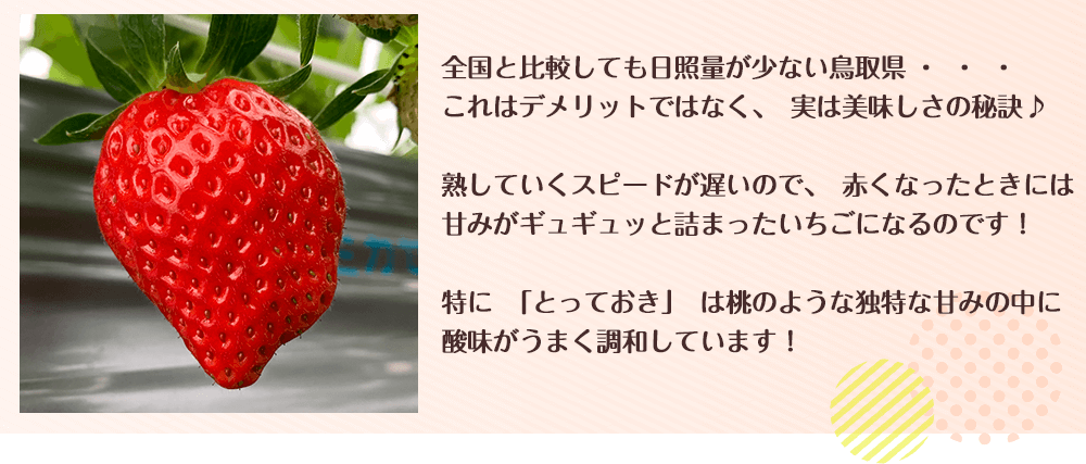 桃のような独特な甘みの中に酸味がうまく調和しています！
